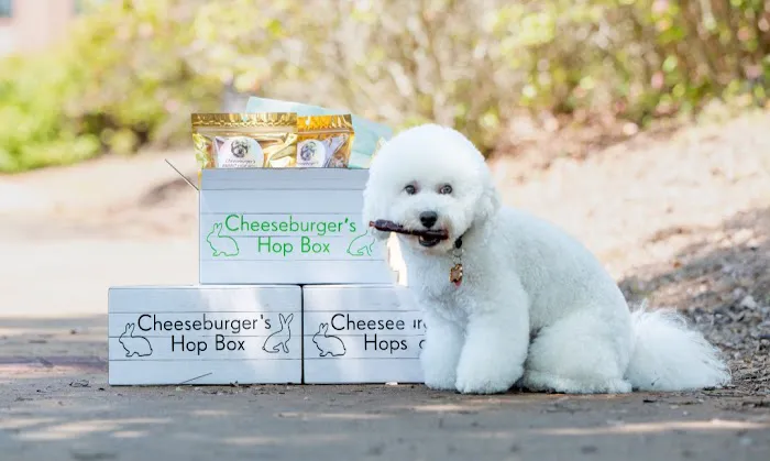 Cheeseburger's Hop Box Picture 6
