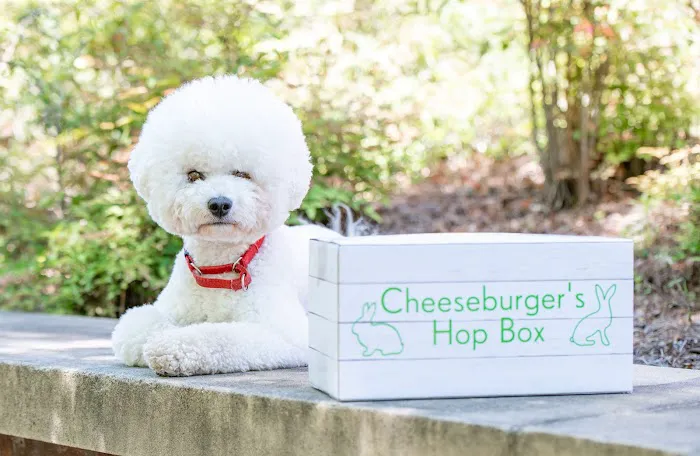 Cheeseburger's Hop Box Picture 4