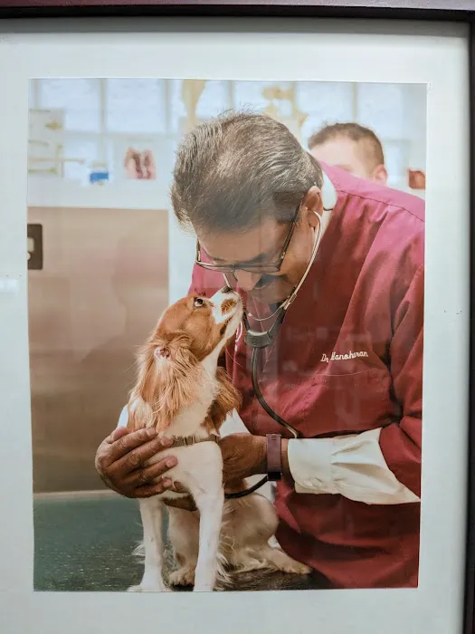 Ambassador Veterinary Hospital Picture 2