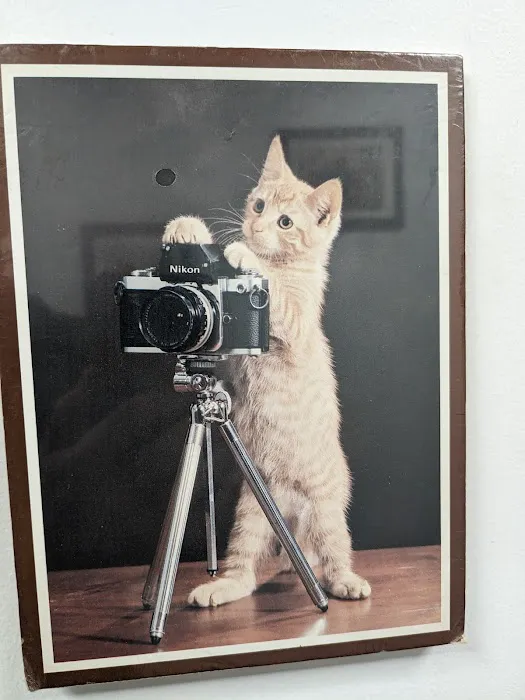 Ambassador Veterinary Hospital Picture 3