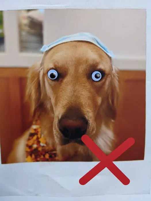 Ambassador Veterinary Hospital Picture 7