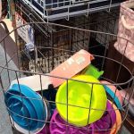 FOUR PAWS - Thrift Store for Dogs