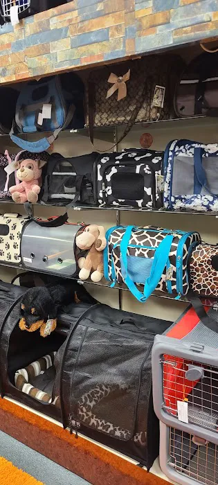 FOUR PAWS - Thrift Store for Dogs Picture 9
