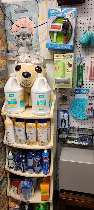 FOUR PAWS - Thrift Store for Dogs Picture 8