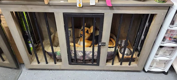 FOUR PAWS - Thrift Store for Dogs Picture 3