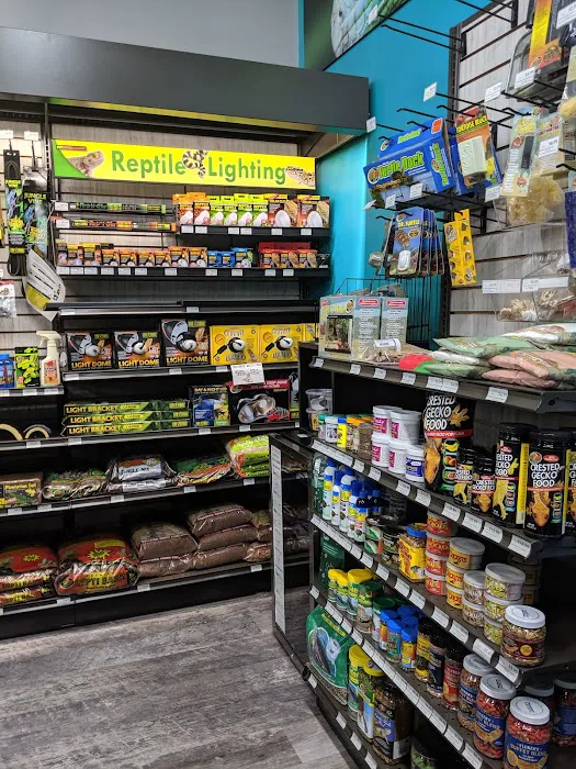 Pet Supermarket Picture 8