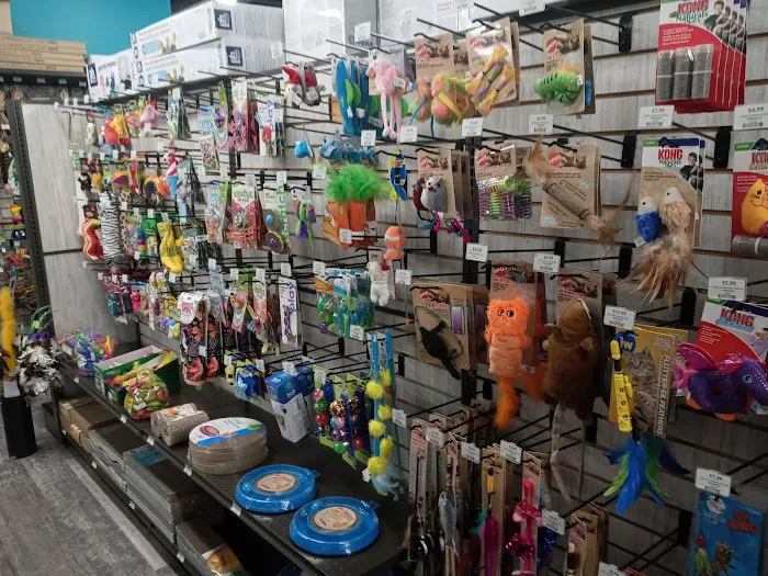 Pet Supermarket Picture 7