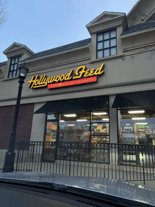 Hollywood Feed Picture 4