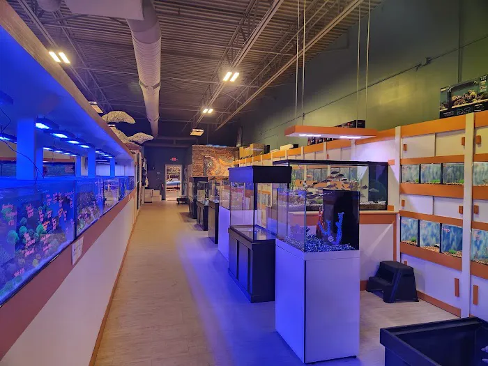 Nemo Aquarium Picture 5