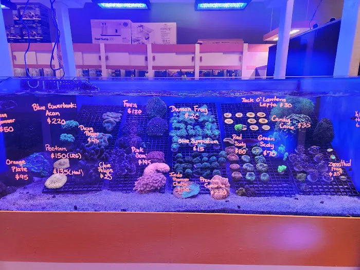 Nemo Aquarium Picture 7