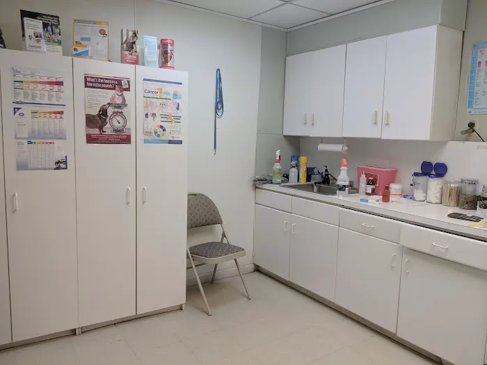 Union City Animal Clinic Picture 7