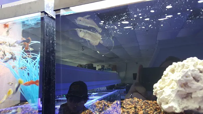 Atlanta Aquarium Picture 2