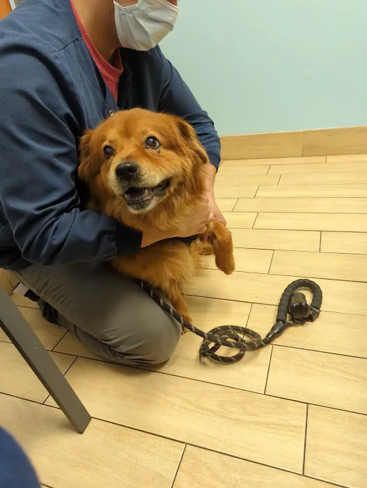 Banfield Pet Hospital Picture 3
