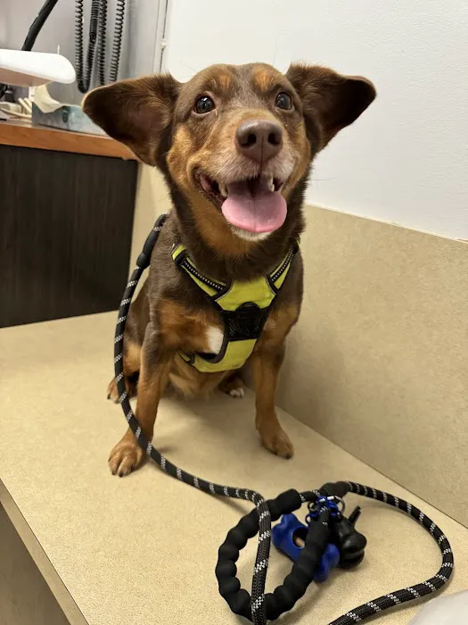 Banfield Pet Hospital Picture 9