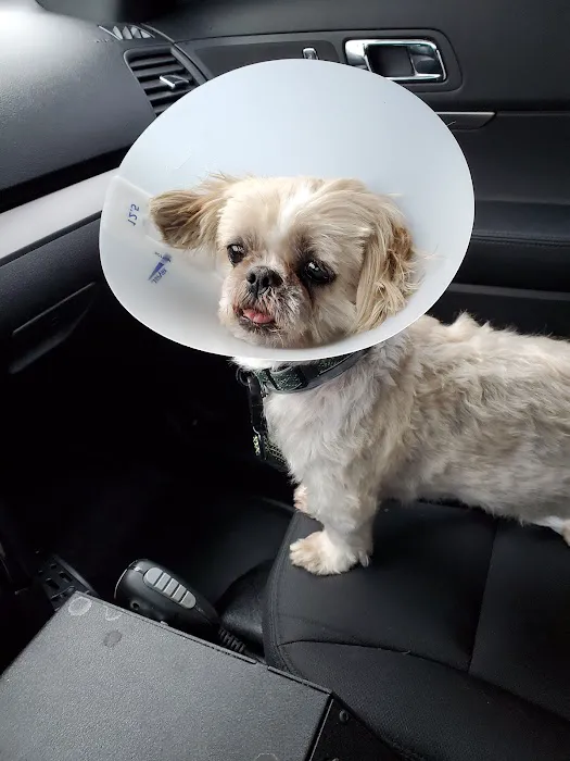 Banfield Pet Hospital Picture 4
