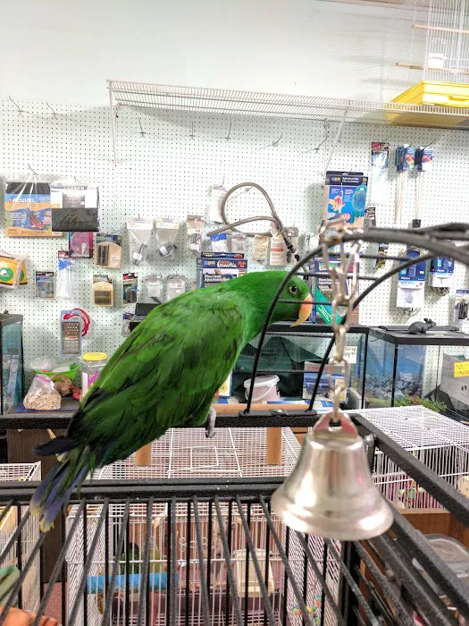 Leapin Lizards Pet Shop Picture 6