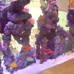 Aquarium Maintenance Service