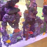 Aquarium Maintenance Service ico