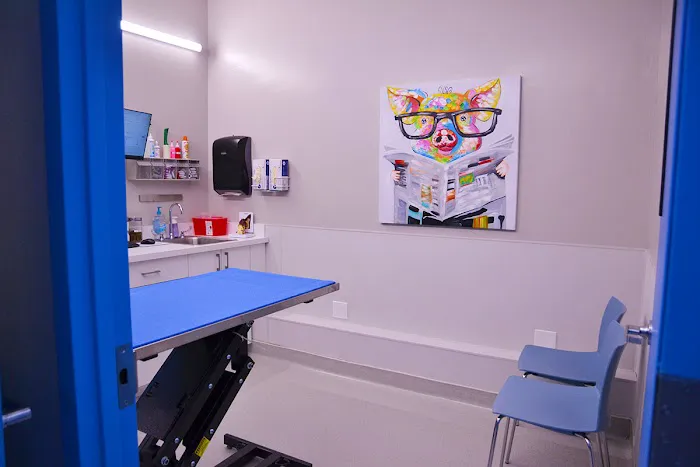 Hoboken Vets Animal Clinic Picture 4