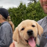 Cute pupps ico