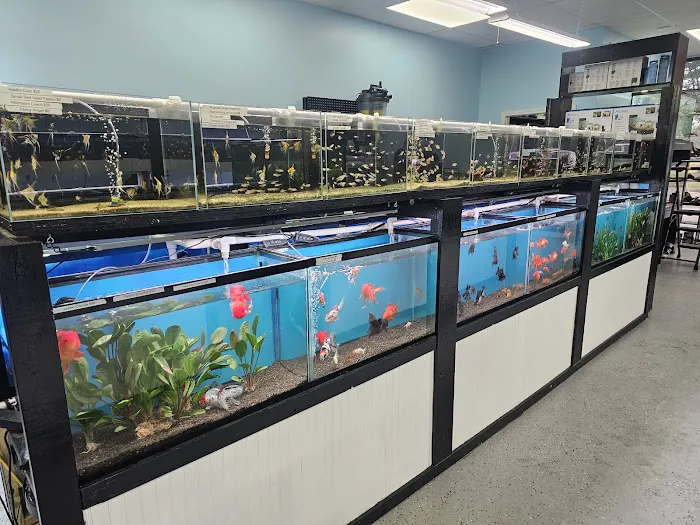 Mystical Ponds and Aquariums Picture 4