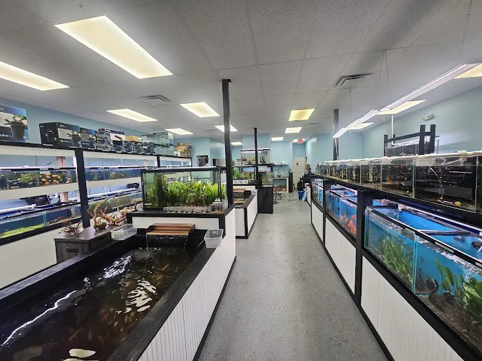 Mystical Ponds and Aquariums Picture 2