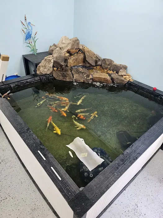 Mystical Ponds and Aquariums Picture 1