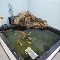 Mystical Ponds and Aquariums ico