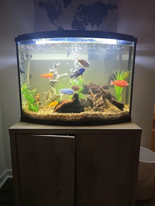 Mystical Ponds and Aquariums Picture 6