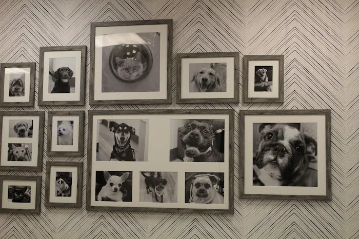 White Plains Veterinary Hospital Picture 5