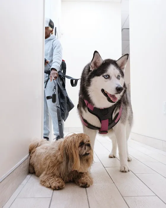 White Plains Veterinary Hospital Picture 4