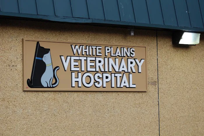 White Plains Veterinary Hospital Picture 10