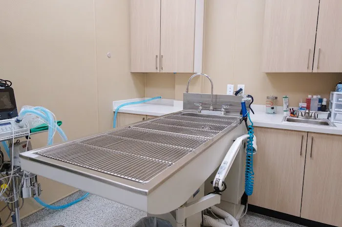 White Plains Veterinary Hospital Picture 8