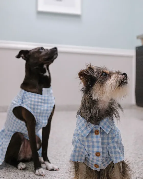 White Plains Veterinary Hospital Picture 3