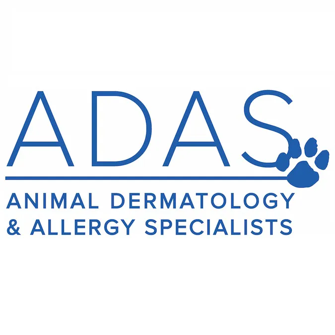 Animal Dermatology Clinic Picture 6