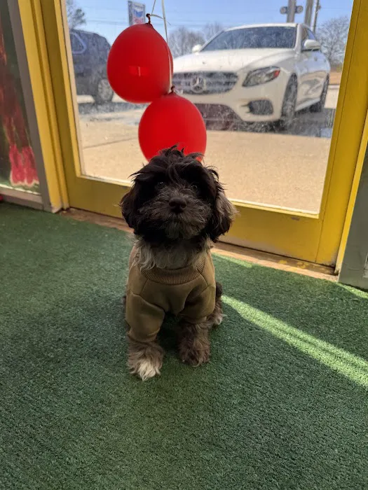 Bark Ave Boutique Picture 6