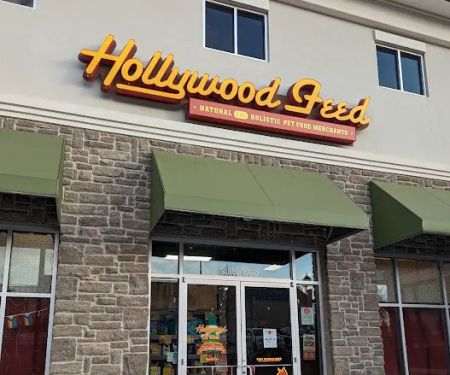 Hollywood Feed