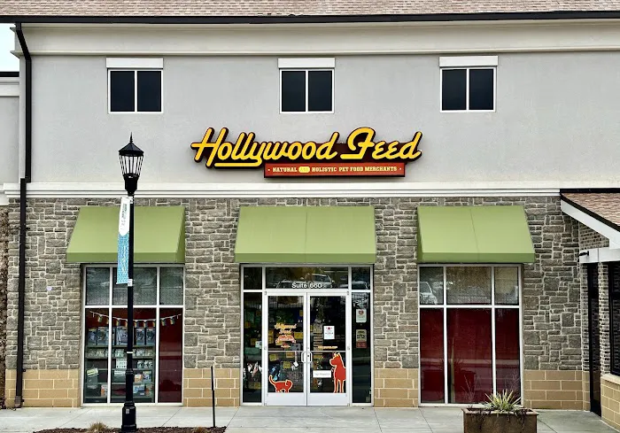 Hollywood Feed Picture 3