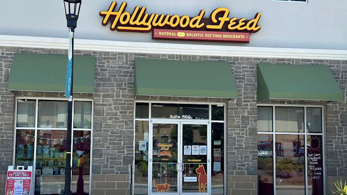 Hollywood Feed Picture 7