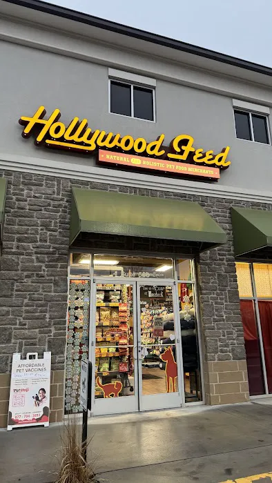 Hollywood Feed Picture 9