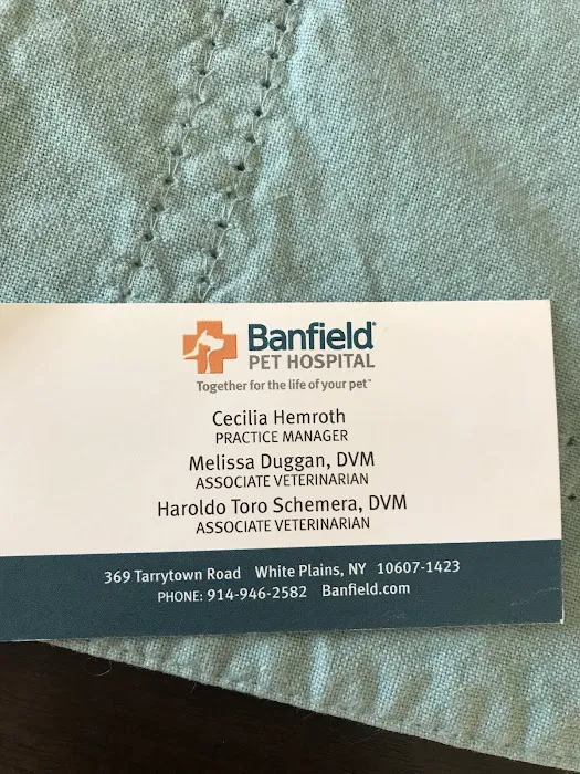 Banfield Pet Hospital Picture 7