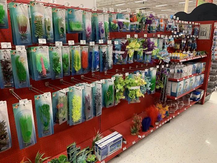 Petco Picture 7