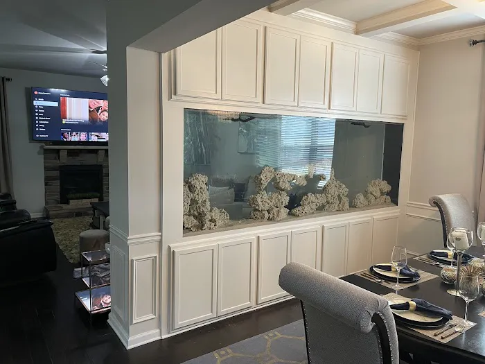 Big Fish Custom Acrylic Aquariums Picture 5