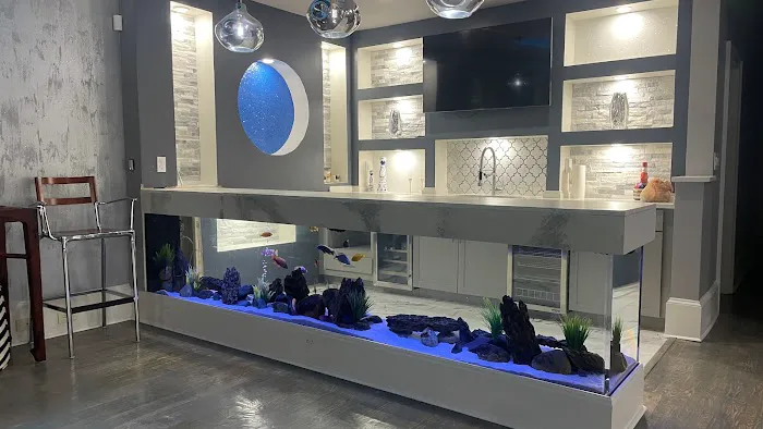 Big Fish Custom Acrylic Aquariums Picture 2