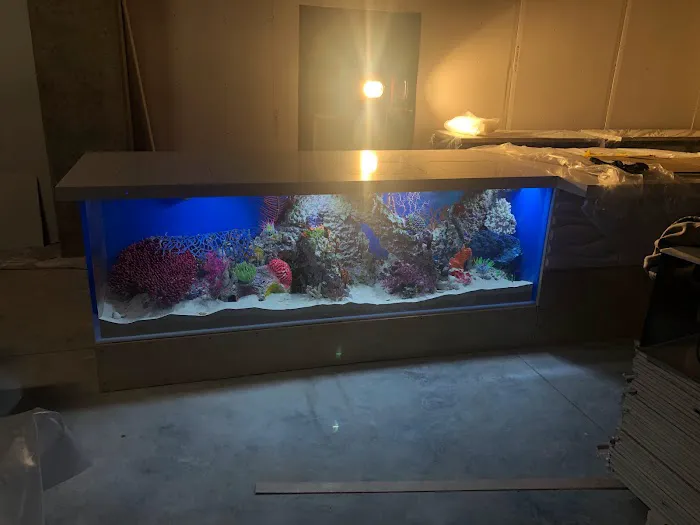 Big Fish Custom Acrylic Aquariums Picture 3