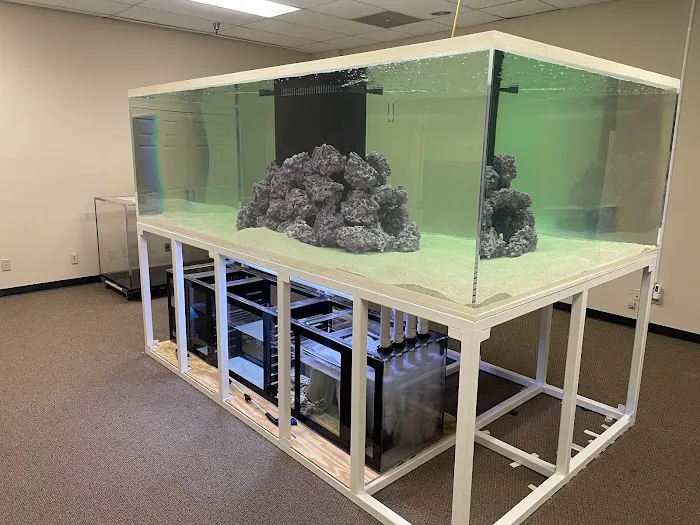 Big Fish Custom Acrylic Aquariums Picture 7