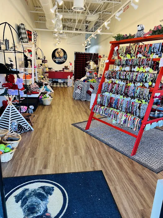 Gussied Up Pet Boutique Picture 4