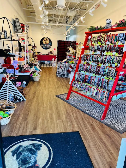 Gussied Up Pet Boutique Picture 9