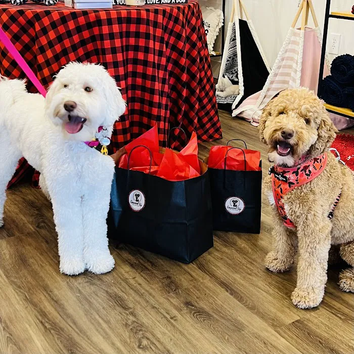 Gussied Up Pet Boutique Picture 2