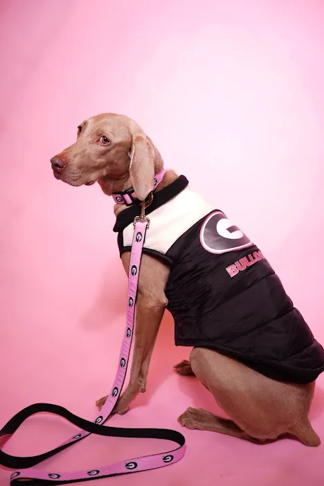 Gussied Up Pet Boutique Picture 1